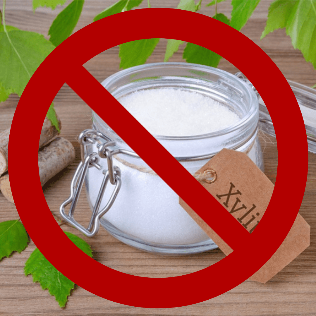 Xylitol and Dogs The Deadly Combination You Need to Know About DogEh!