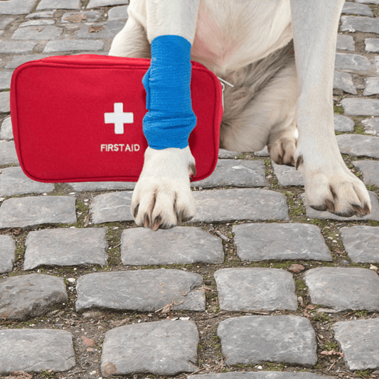 Be Prepared for Emergencies: Why Every Dog Owner Needs a First Aid Kit - Dog-Eh!