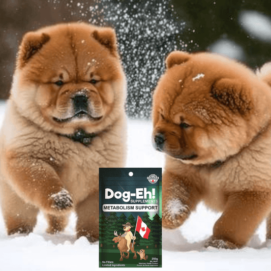 Boost Your Sales with Dog-Eh! Metabolism Support - Dog-Eh!