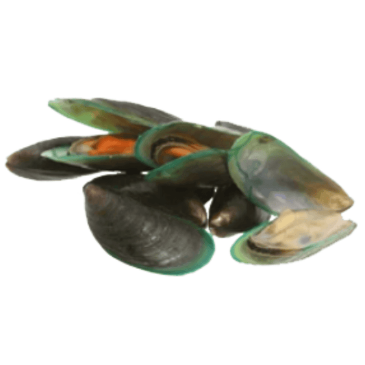 Green-Lipped Mussels - Dog-Eh!