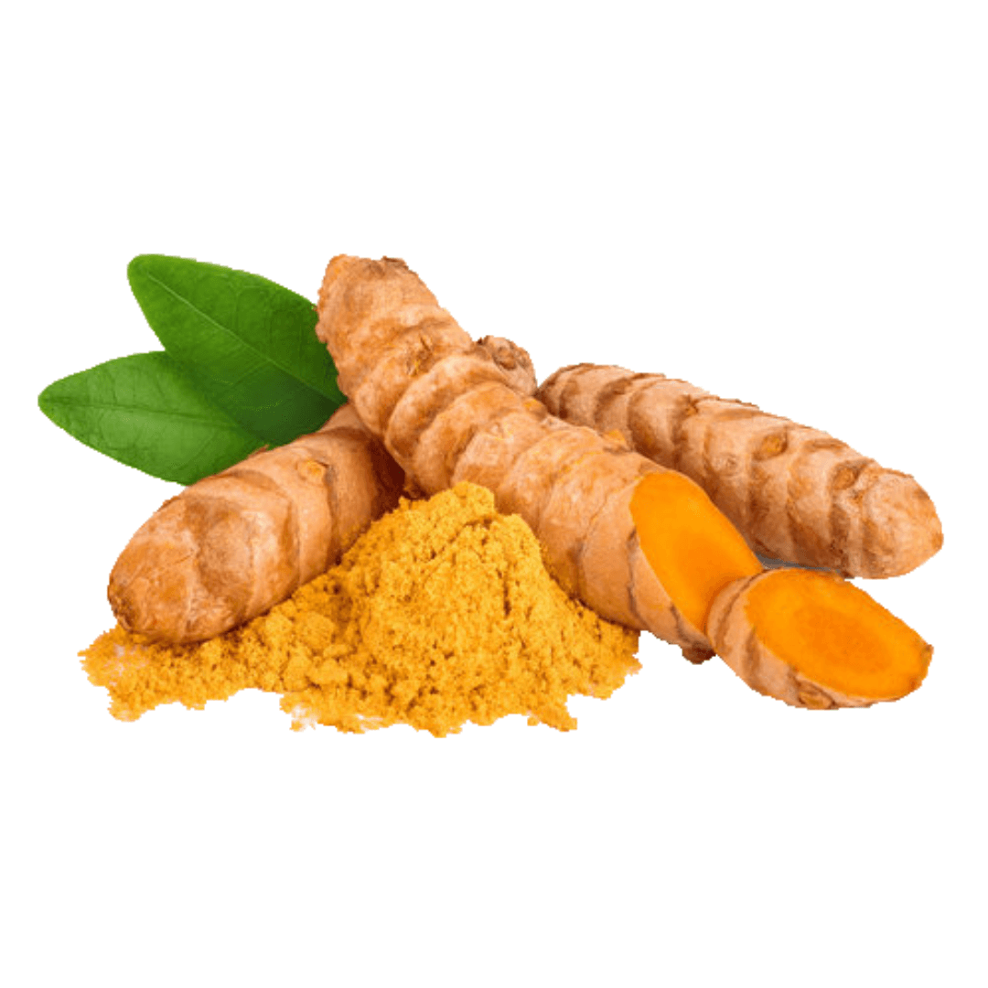 Turmeric in Canine Health: Evidence from Clinical Studies - Dog-Eh!
