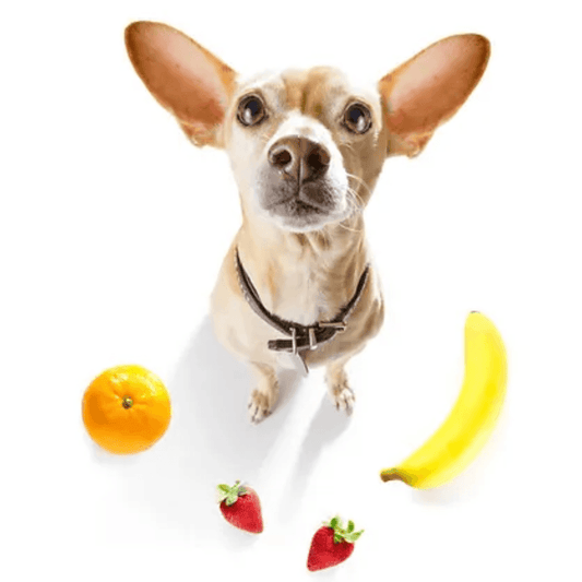 Top 10 Dog Safe Fruits: A Nutritious and Delicious Treat Guide - Dog-Eh!