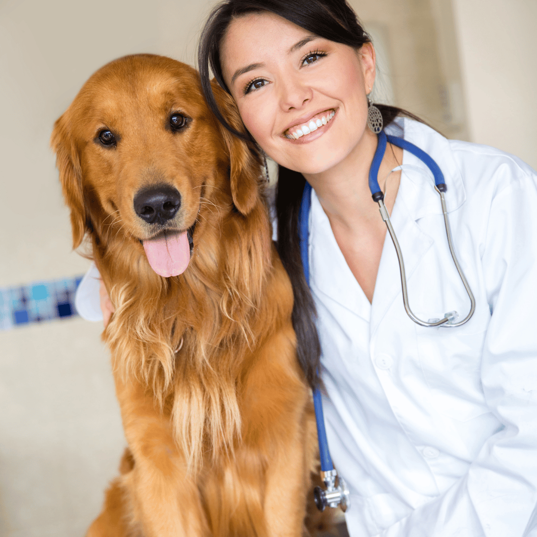 Cracking the Canine Code: 10 Surprising Signs Your Pooch is Perfectly Healthy!