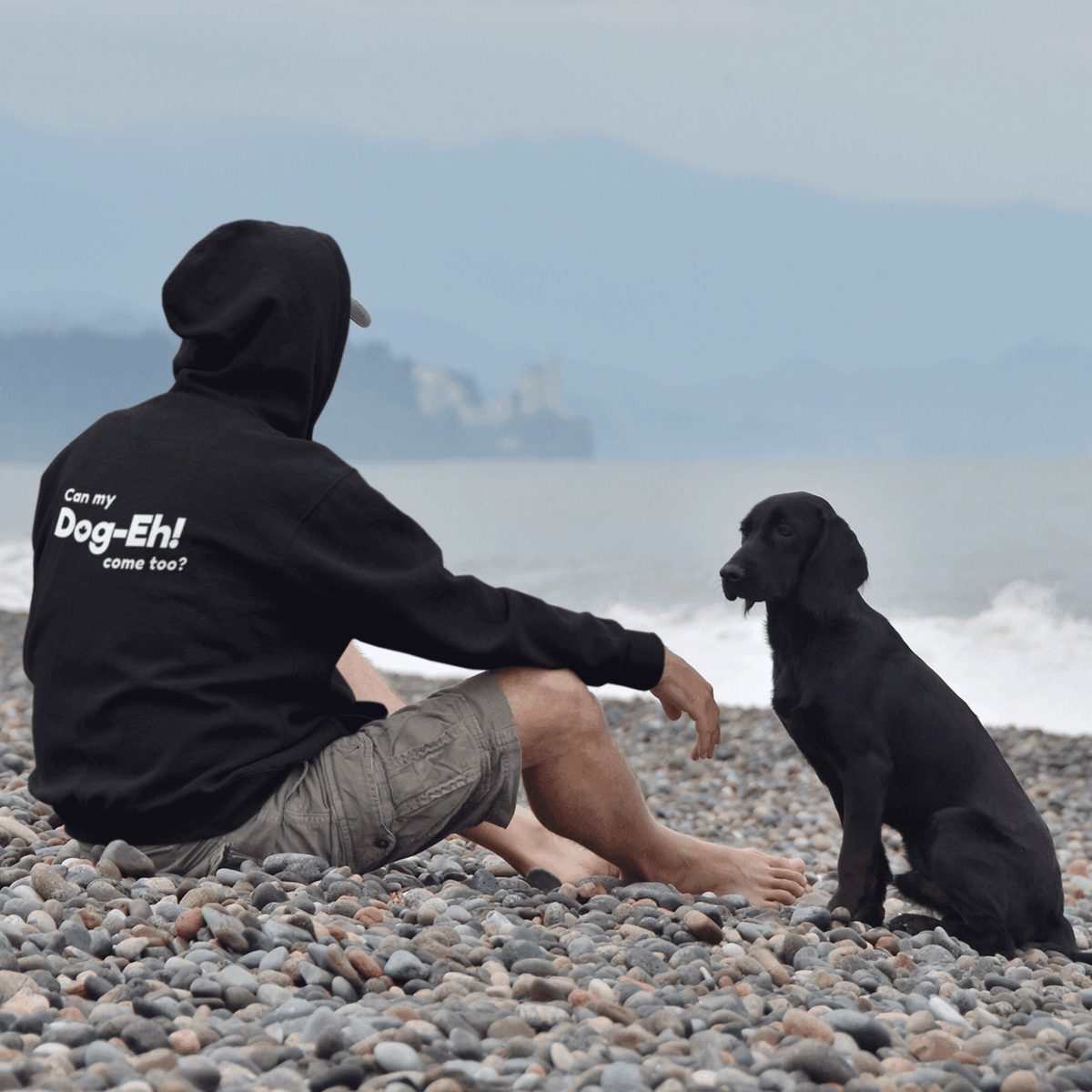 Eh Collection Collections – Dog-Eh!