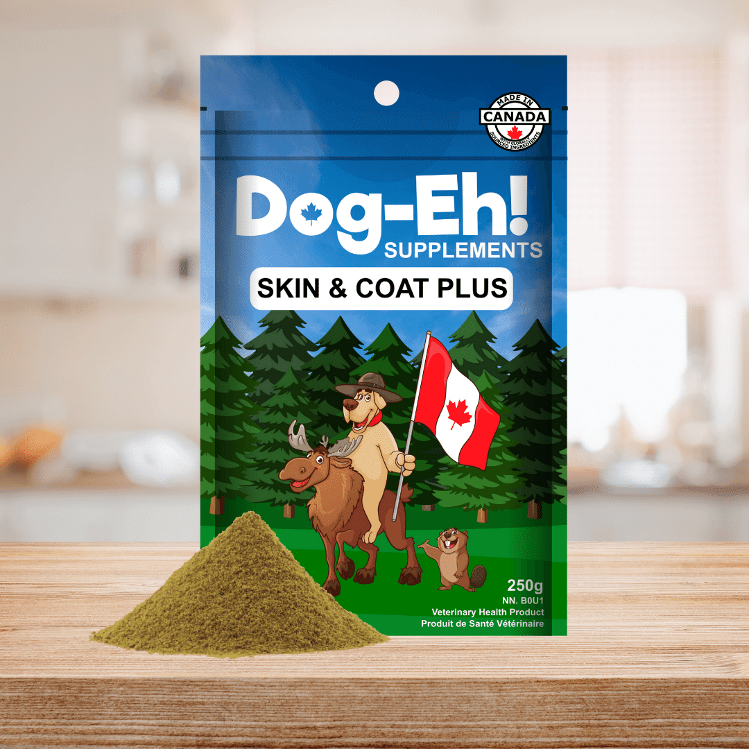 Dog supplements for healthy coat hot sale