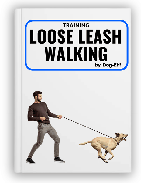 Training Loose Leash Walking eBook Dog Eh