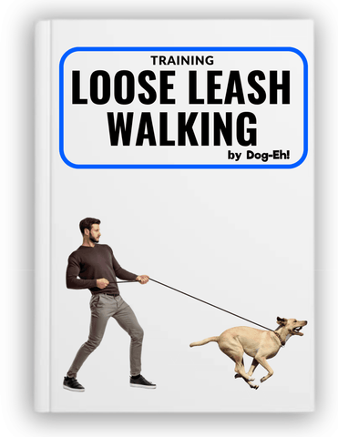Training Loose Leash Walking (eBook) Dog-Eh!